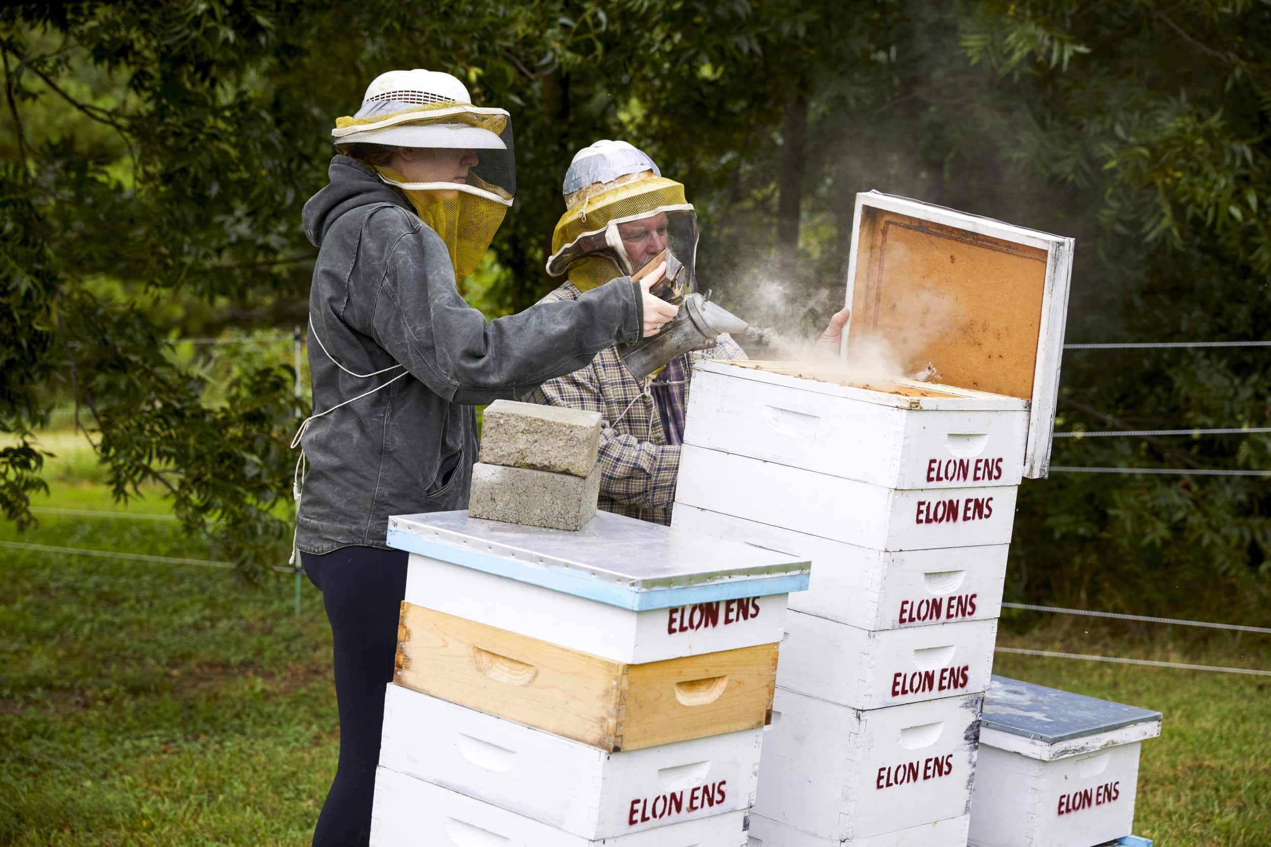 bee keepers