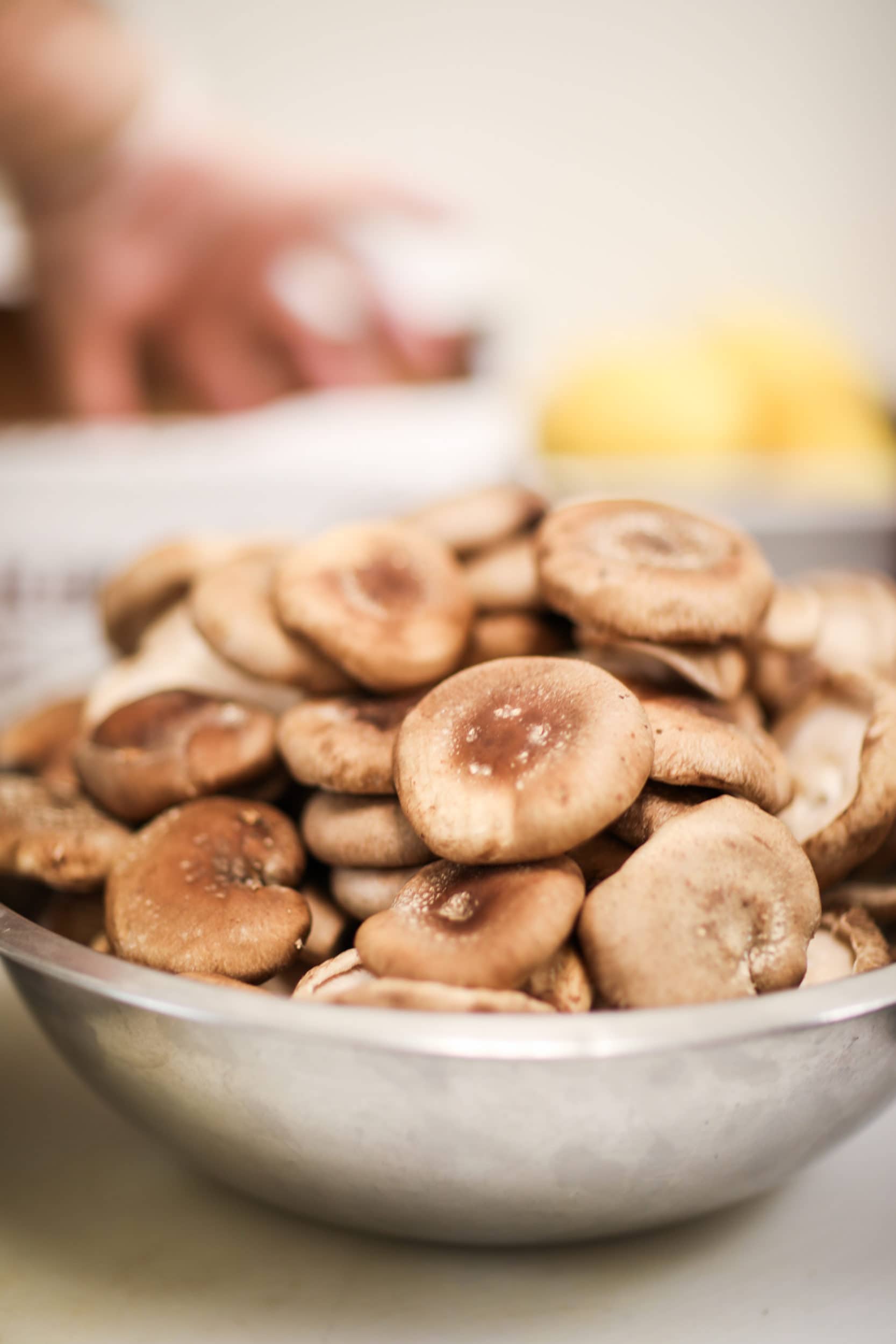 mushrooms in a bowl